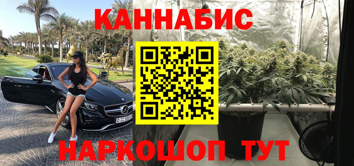 Бошки марихуана сатива  Марихуана сатива  Ульяновск  Вход с VPN 